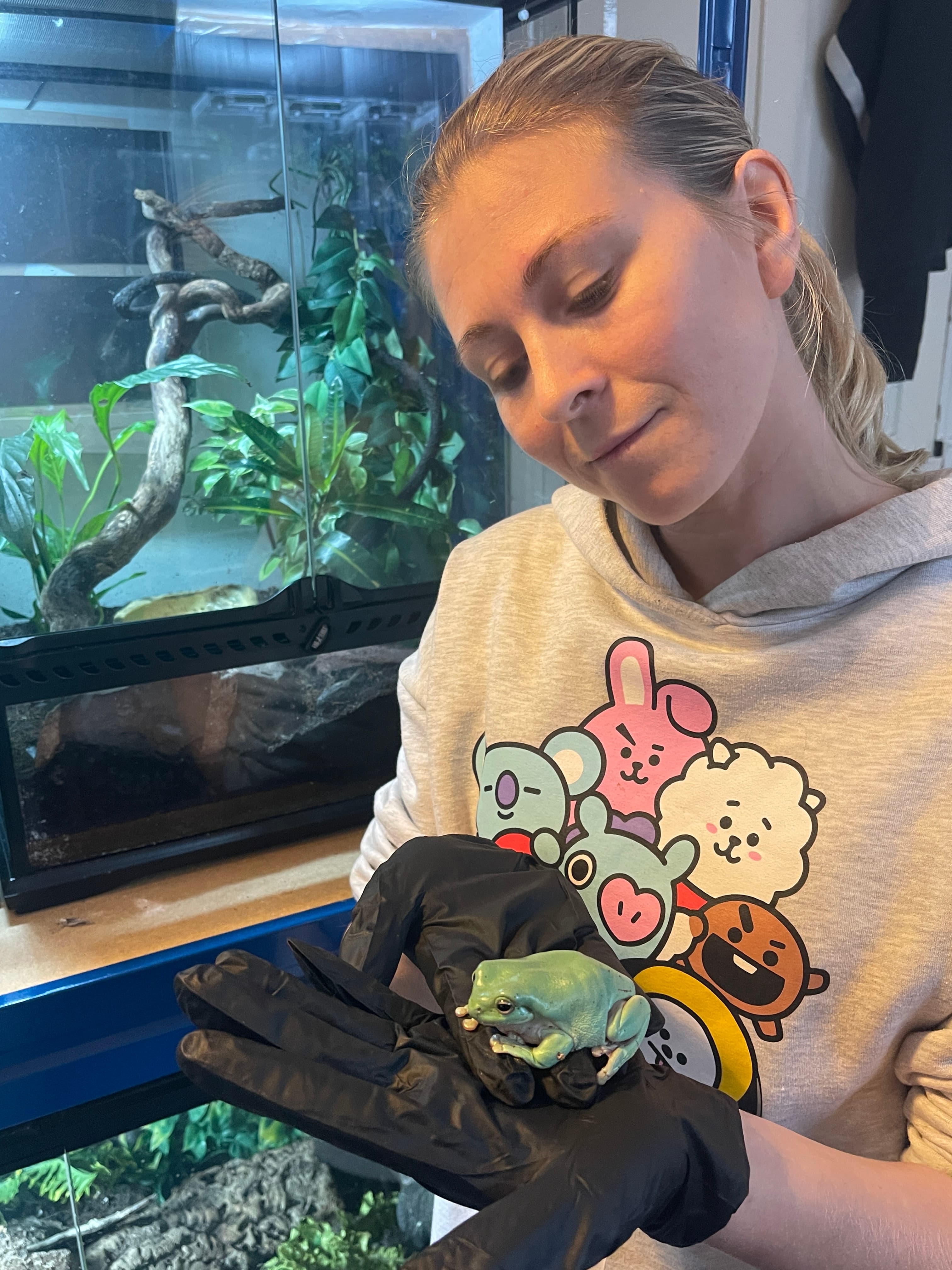 Bearded dragon reptile care in Exeter