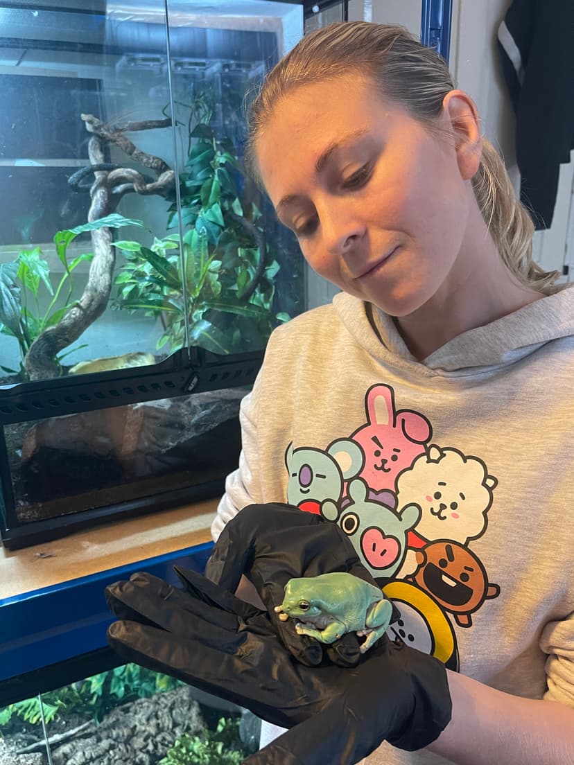 Reptile and exotic pet care Exeter