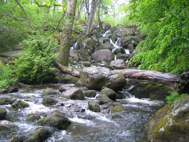 Dartmoor: Becky Falls waterfall