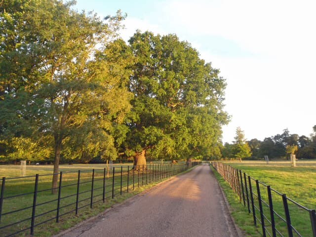 Belmont Park Drive in the evening, Exeter