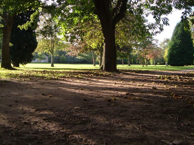 Mill Marsh Park, Bovey Tracey