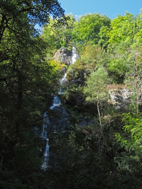 Lady Exmouth Waterfall at Canonteign Falls
