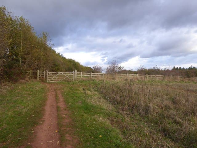 Footpath through Ludwell Valley Park, Exeter