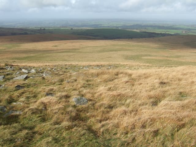 Okehampton Common on Dartmoor