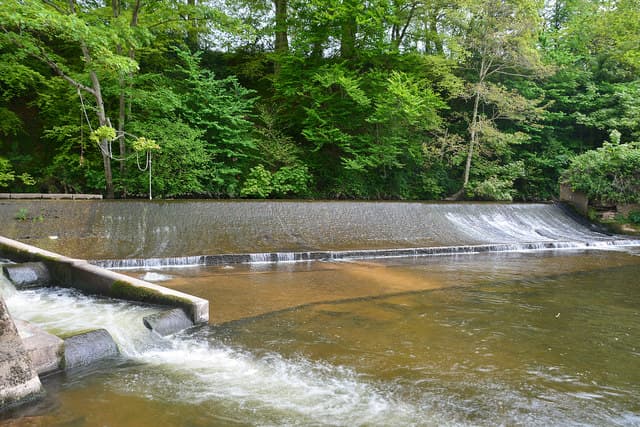 River Otter weir near Otterton