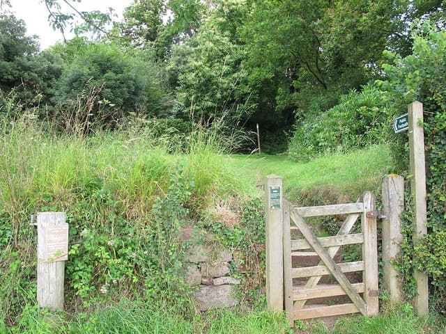 Footpath through the Powderham estate