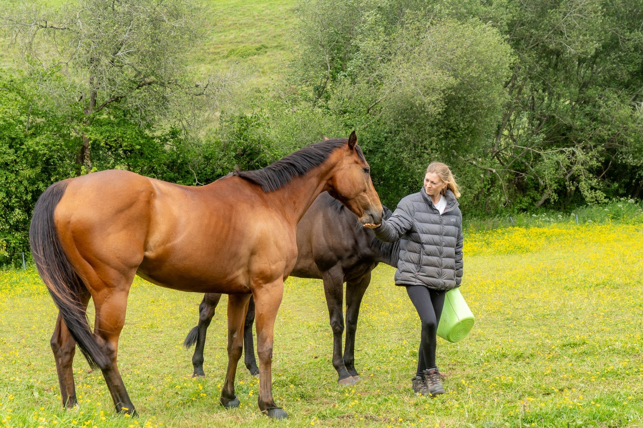 Professional holiday yard cover and management in Exeter, Devon