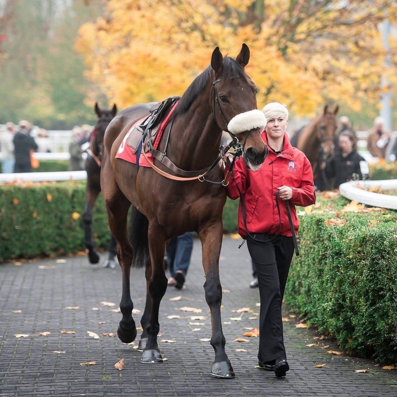 Evie with horses - professional racing industry experience