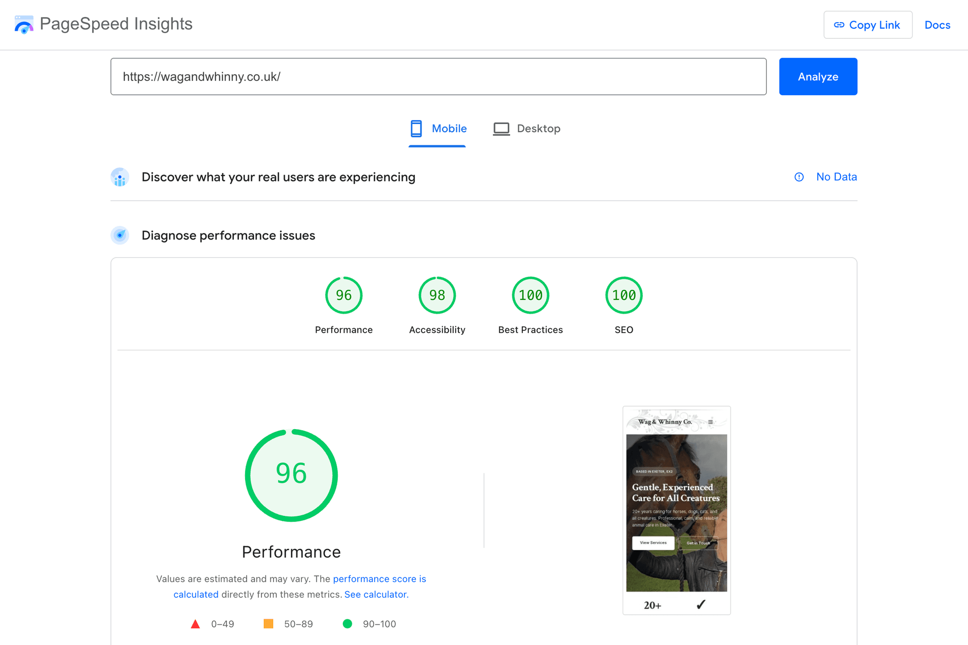 Google PageSpeed Insights Mobile Score - 96 Performance, 98 Accessibility, 100 Best Practices, 100 SEO