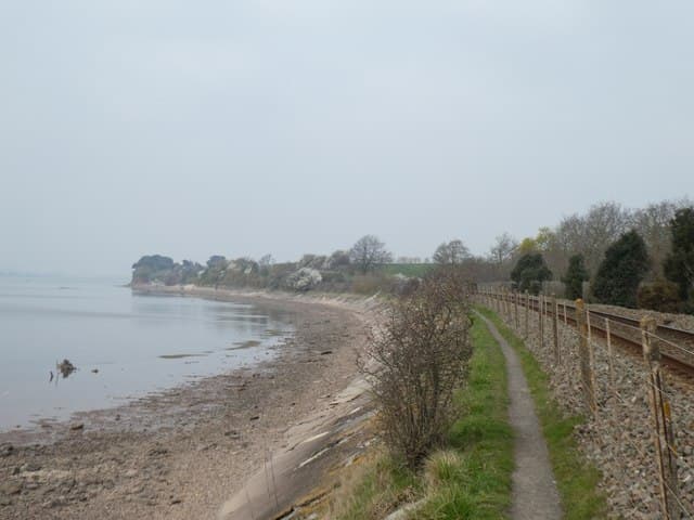 Exe estuary, East Devon Way and Avocet Line