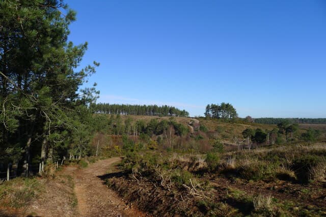 The East Devon Way on Bicton Common, Pebblebed Heaths