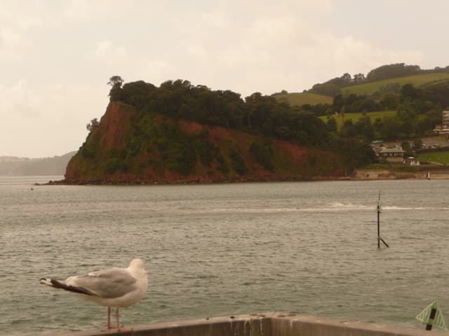 The Ness at Shaldon from Teignmouth pier