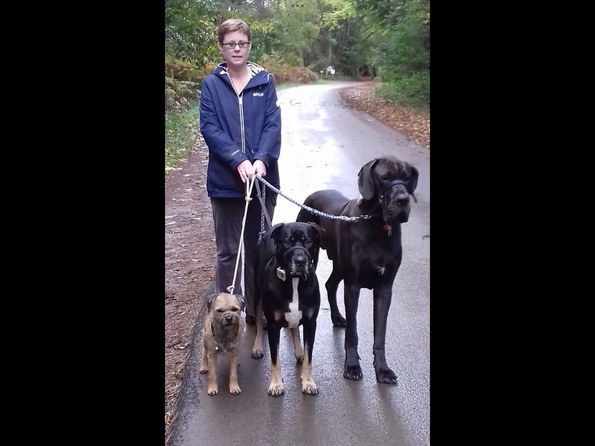 Tonk, Ty and Jasper - Lindsay's pet